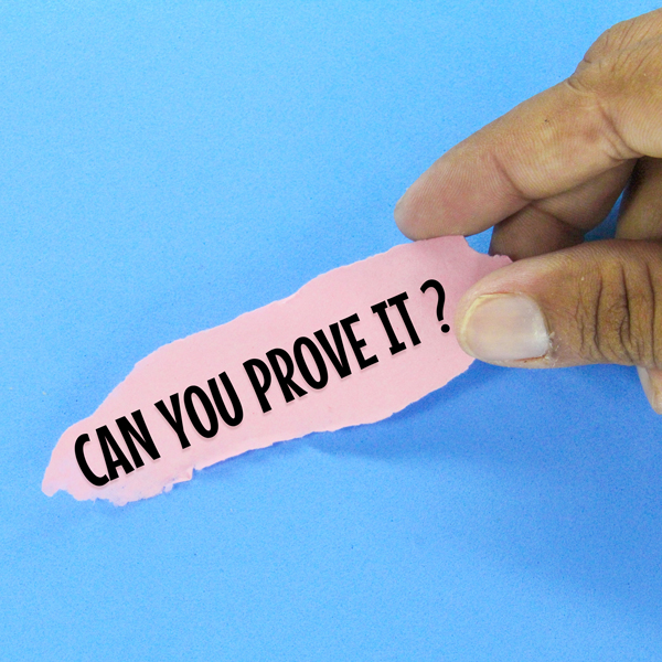 Lesa Bradshaw International | Podcast | Don't make me prove it
